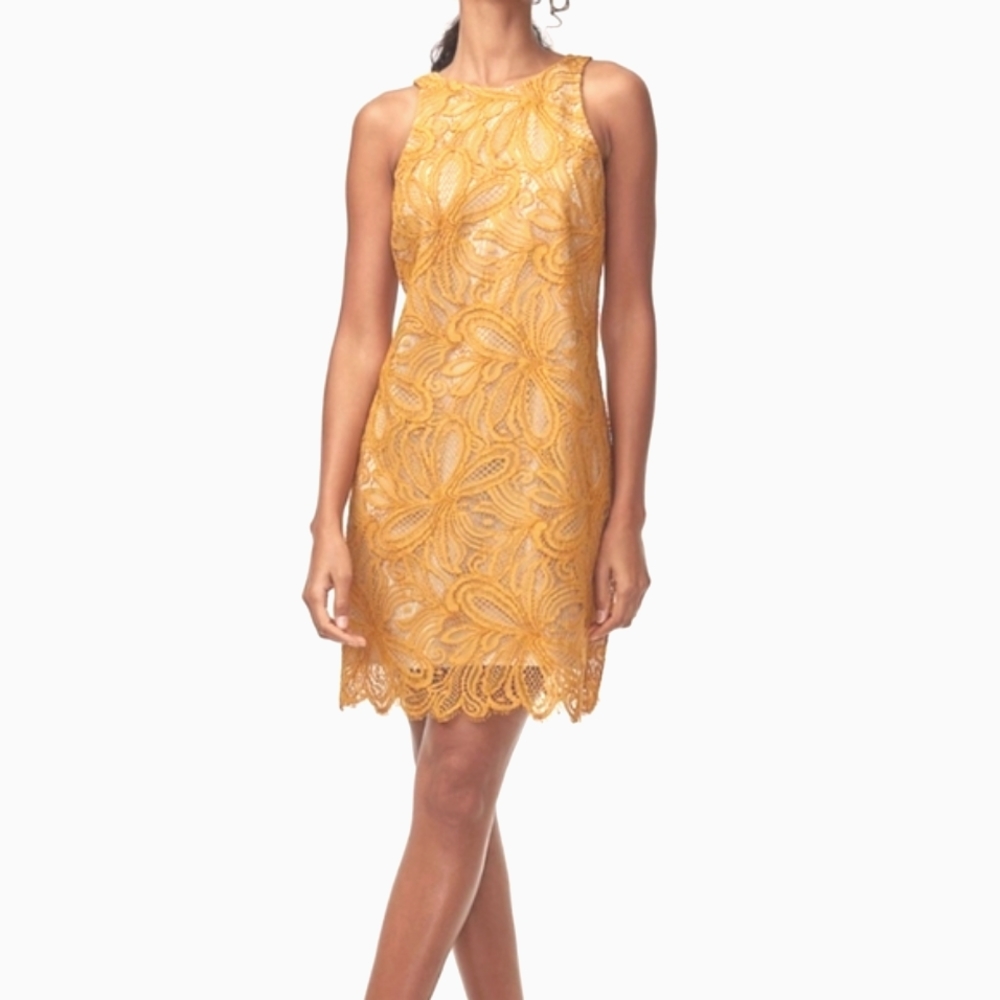 Aritzia Babaton Henry‎ Gold Lace Mini Dress